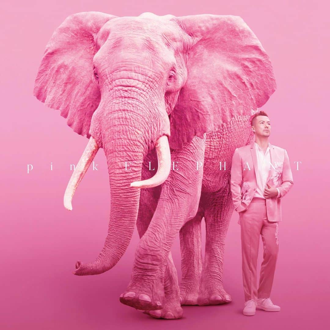 米倉利紀さんのインスタグラム写真 - (米倉利紀Instagram)「24TH ALBUM “pink ELEPHANT”﻿ ﻿ 本日、発売になりました。﻿ 28年間の歌手生活の中で、24枚もオリジナルアルバムをリリース出来ていること、なにより、28年もの長い年月を応援し続けてくださっているみなさんへの感謝の気持ちでいっぱいです。﻿ ﻿ 28年前にデビューアルバム「bella donna」を発売しました。﻿ これまでアルバムを何枚作っても、発売してもあの日の嬉しさはとなんら変わりない嬉しさはひとつも色褪せることはなく、今日は冷たい空気でどんより曇り空の東京ですが、とってもあたたかくキラキラの心で目覚めることができました。﻿ ﻿ それもこれも、皆さんが「pink ELEPHANT」を待ち望んでくださっていた想いのおかげです。﻿ ﻿ 「pink ELEPHANT」は今日の発売日に僕の元を旅立ち、みなさんの心の中で呼吸し生きはじめます。﻿ ﻿ ぜひ、たくさん愛して大切にしてやってください。﻿ ﻿ ありがとう。﻿ ﻿ HERO,﻿ toshi」1月22日 9時01分 - toshi_yonekura