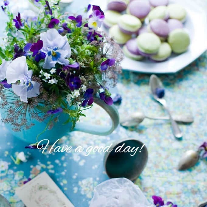 雑誌『花時間』さんのインスタグラム写真 - (雑誌『花時間』Instagram)「おはようございます。﻿ ﻿ 今朝の投稿はクロスのススメです。﻿ ﻿ クロス？ そう、布のこと。﻿ ﻿ テーブルにお花を飾るとき、花色と同系色の布を1枚敷くだけ。﻿ ﻿ このpicで、納得ですよね？  パンジー、ビオラの紫の世界が、布の色でぐーんと広がっています。﻿ ﻿ 少量のお花でも効果は保証つき！﻿ ﻿ インスタに、ご自分で撮ったアレンジ写真を投稿している人も多いと思います。そんなときにも、花色に合わせた布を、イ・チ・マ・イ！﻿ ﻿ お安い布でも、色をいろいろ揃えておくと、すごーく重宝しますよ。﻿ ﻿ 追記ですが、パンジーの切り花は、これからが旬。つぼみがつぎつぎと開いて、1本でも2〜3週間は楽しめます。﻿ ﻿ では、本日も元気smile😊😊😊で頑張りましょう！ by ピーターパン﻿ ﻿ ﻿ 花 @nya_fleuriste  写真 @砂原 文 ﻿ ﻿ ﻿ #flowers #flowerslovers #flowerstagram #flowerarrangement  #花時間 #花時間2020 #花好き #花藝 #花好きな人と繋がりたい #花が好きな人と繋がりたい #花のある生活 #花のある暮らし #花を飾る #花を飾る生活  #パンジーが好き #ビオラが好き  #春を先取り #早春の花  #春の花が好き #花を楽しむ暮らし  #botanicallife  #花屋さんへ行こう」1月22日 9時49分 - hanajikan_magazine