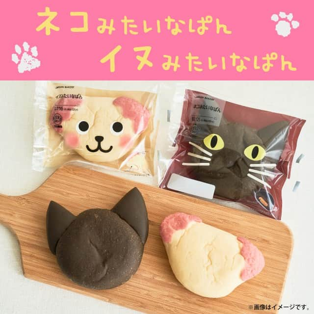 ローソン さんのインスタグラム写真 - (ローソン Instagram)「#イヌみたいなぱん と #ネコみたいなぱん が新発売♪どっちのぱんにしますか(^^) #ローソン #イヌ派 #ネコ派 #どっちぱん #LAWSON #パン #コンビニパン #パンスタグラム #パンのある暮らし #パン活 #朝食 #朝ごパン #ランチ #bread #lunch #cafe #japanesefood #instagood #foodstagram #foodpics」1月22日 10時01分 - akiko_lawson