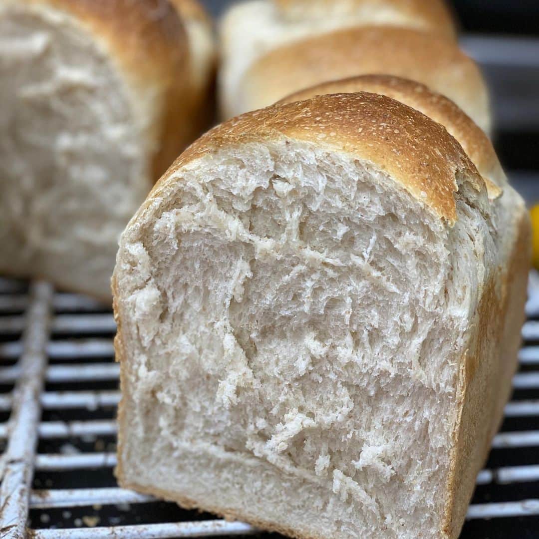 魔女菅原のグルメインスタ