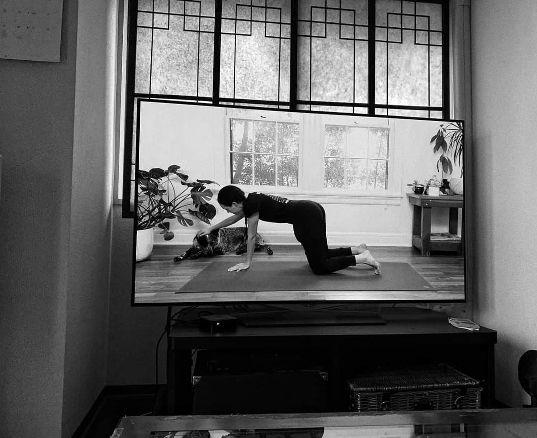 福原美穂さんのインスタグラム写真 - (福原美穂Instagram)「attention please..... YOGAをやりだせばおもちゃを持ってくるラブこ。  最後はわたしの呼吸とともに寝に落ちました。  #yogalife #mindfulness #meditation #doglife #lifewithdog #attention #attentiondog」1月22日 10時57分 - miho_fukuhara