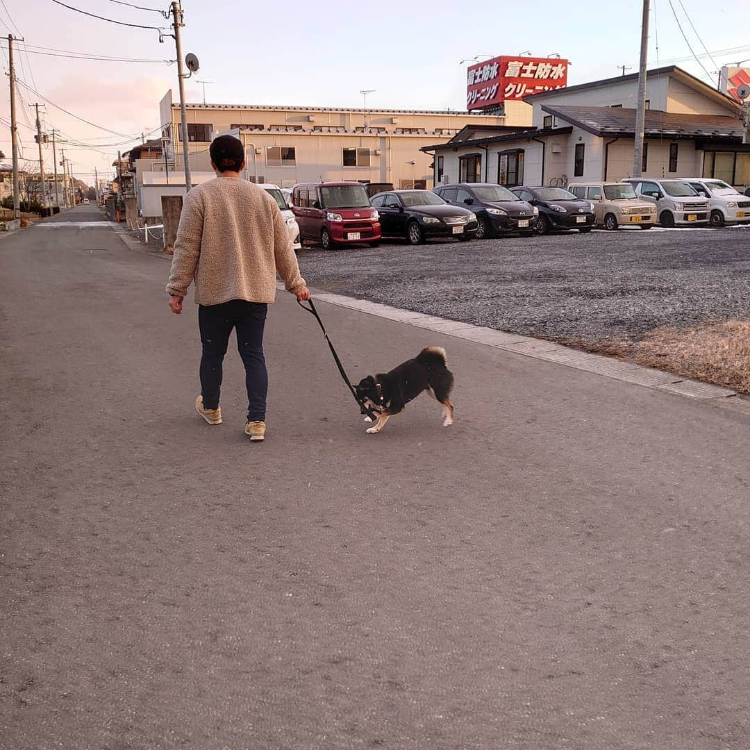 小松洋平（YOH）さんのインスタグラム写真 - (小松洋平（YOH）Instagram)「歩いておくれ」1月22日 10時59分 - youheeei0625