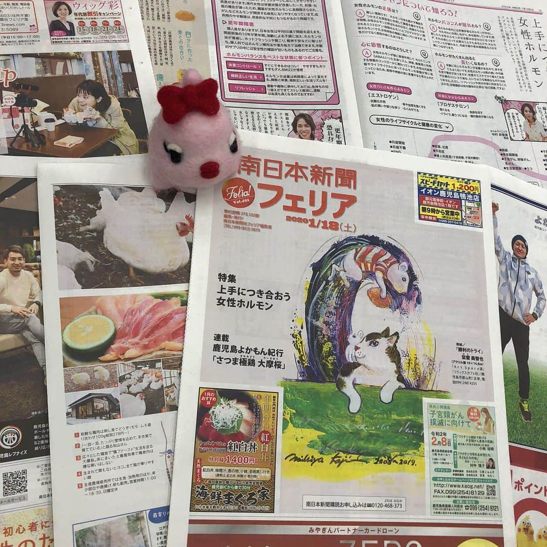 南日本新聞フェリアのインスタグラム