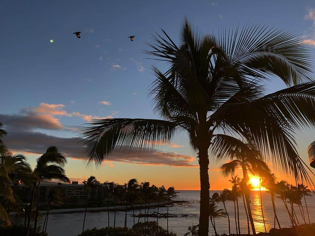 中村アンさんのインスタグラム写真 - (中村アンInstagram)「ハワイ島のサンセット本当に美しかった🐳 #islandofhawaii」1月22日 11時45分 - cocoannne