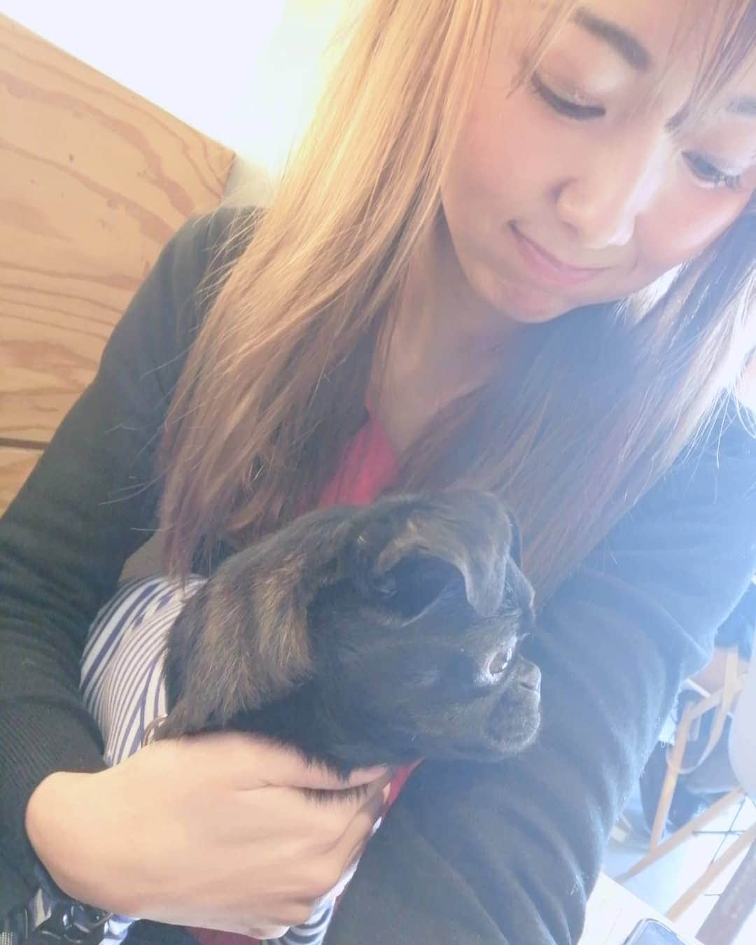 杉山由紀子のインスタグラム：「やすなとデート💑 かわいいワンコ付きで♪♪♪ * 清澄白河にあるワンコOKなおしゃれなカフェ行ったよ✨ * やすなといる時間は落ち着く😌 いつもありがとう✨ * #わんちゃん #カフェ #犬OK #清澄白河 #森下 #おしゃれカフェ #都内 #おすすめ」