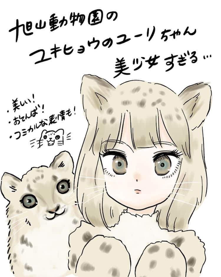 安住麻里のインスタグラム：「ユキヒョウのユーリちゃんかわいすぎ問題なので絵描いた  #ユキヒョウ　#ユーリ　#擬人化　#旭山動物園　#かわいい　#動物イラスト　#イラストレーター　#お仕事募集」