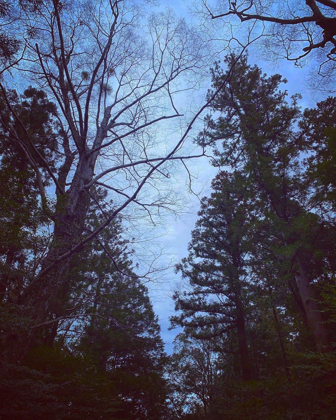 鑑田幸代のインスタグラム：「伊勢神宮⛩🙏 #お初 #いつも健康第一 #ばったり友人 #会うよねぇー  #上がったわ！ #伊勢神宮」