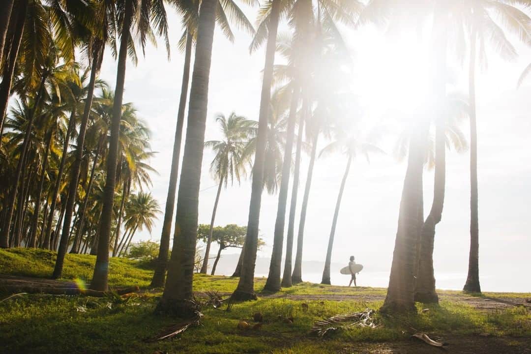 National Geographic Travelさんのインスタグラム写真 - (National Geographic TravelInstagram)「Photo by @max.lowe | Following my friends this morning to surf the famous point break waves at Punta Roca in El Salvador, I found that the leisurely walk through glades of palm trees and past vendors selling coconuts and fresh fish was a little more my speed when compared to the destination.  To see more from his world travels, follow @max.lowe.」1月22日 14時09分 - natgeotravel