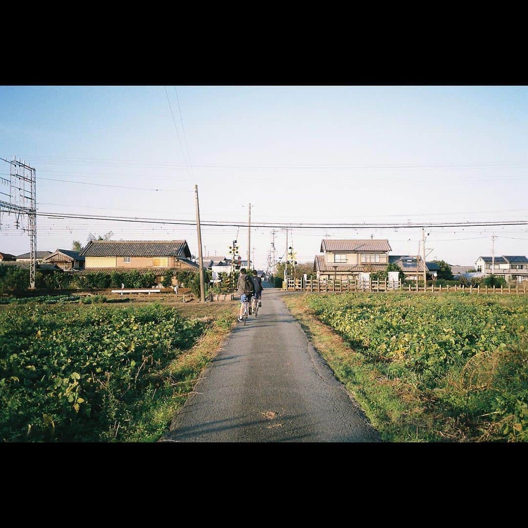 長谷川大さんのインスタグラム写真 - (長谷川大Instagram)「随分前ですが実家に帰りました。  #フィルム写真 #フィルムカメラ #スナップ写真」1月22日 14時35分 - hasegawa.dai