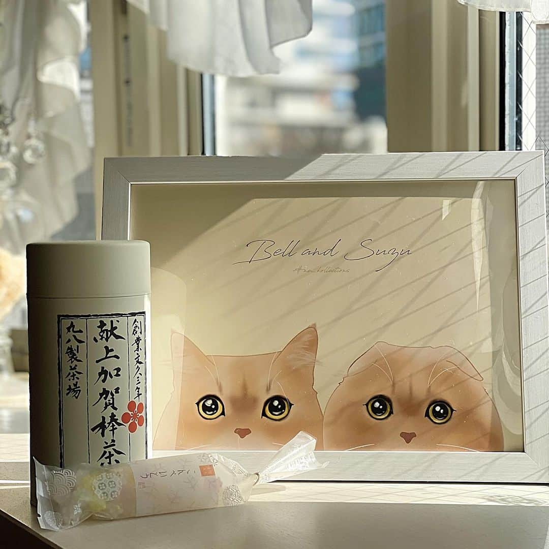 ベルさんのインスタグラム写真 - (ベルInstagram)「. Thank you for a nice present🎁 素敵すぎる素敵便  何ヶ月も前から考えてくれてたなんて感動😍  リンちゃんお迎え前のオーダーで リンちゃんがらいないからなんて とんでもないです(❁´ω`❁)︎💕︎💕 . . @izumi_y0404 いずみさん ありがとにゃ💗 素敵な作家さん @ne_kollections  #素敵便 #nicepresent  #ミルクティーファミリー #犬と猫のいる暮らし #ミヌエットのベルちゃん #スコティッシュフォールドのすずちゃん #ティーカッププードルのリンドール  NAME : Bell  ベル Breed : minuet  ミヌエット 🎂 : 2016.5.15  3歳 ・ NAME : Suzu すずちゃん Breed : Scottish fold スコティッシュフォールド 🎂 : 2018.3.21 1歳 . NAME : Lindor リンドール Breed : Teacup poodle ティーカッププードル 🎂 : 2019.7.18  6ヶ月」1月22日 14時37分 - ricorico_rico