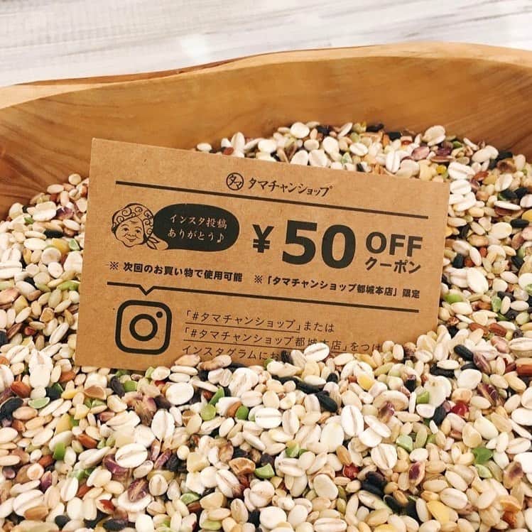 タマチャンショップ都城本店のグルメインスタ