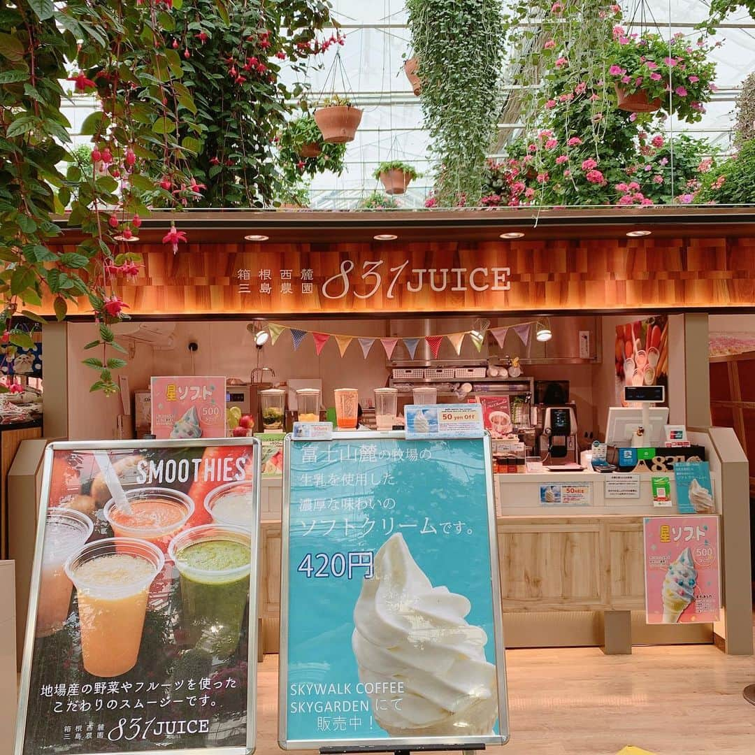 松永祥兵さんのインスタグラム写真 - (松永祥兵Instagram)「🌷Sky Garden🌸 Kita bisa melihat bunga yang indah sambil makan🍦 dan beli oleh-oleh🎁deh🥳 makanan dan oleh-oleh itu bahannya khusus dari daerah Izu loh👍🏻👍🏻」1月22日 16時21分 - matsunaga.shohei