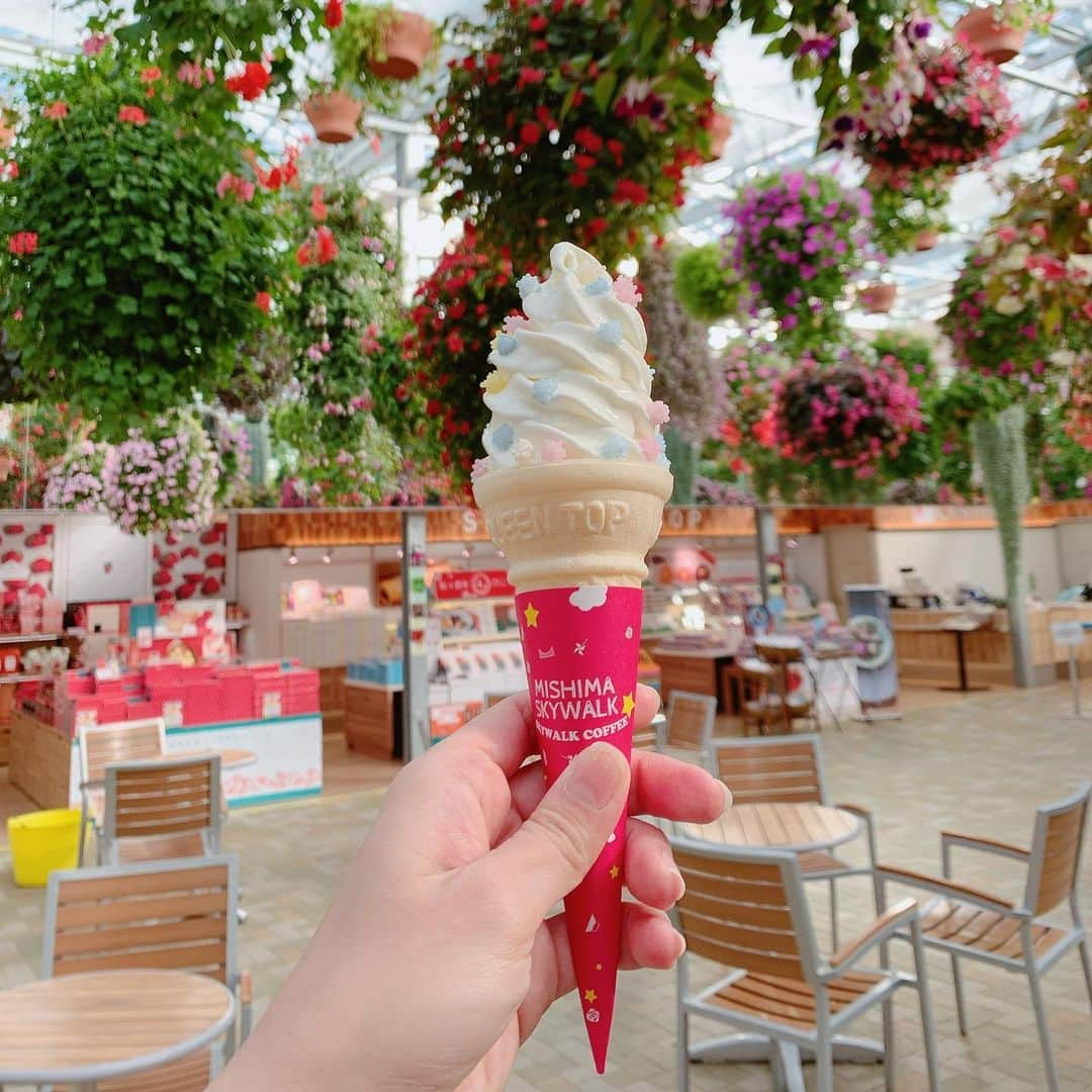 松永祥兵さんのインスタグラム写真 - (松永祥兵Instagram)「🌷Sky Garden🌸 Kita bisa melihat bunga yang indah sambil makan🍦 dan beli oleh-oleh🎁deh🥳 makanan dan oleh-oleh itu bahannya khusus dari daerah Izu loh👍🏻👍🏻」1月22日 16時21分 - matsunaga.shohei