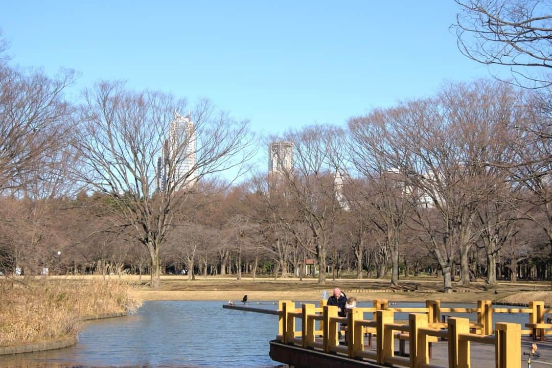 東京都庁広報課のインスタグラム