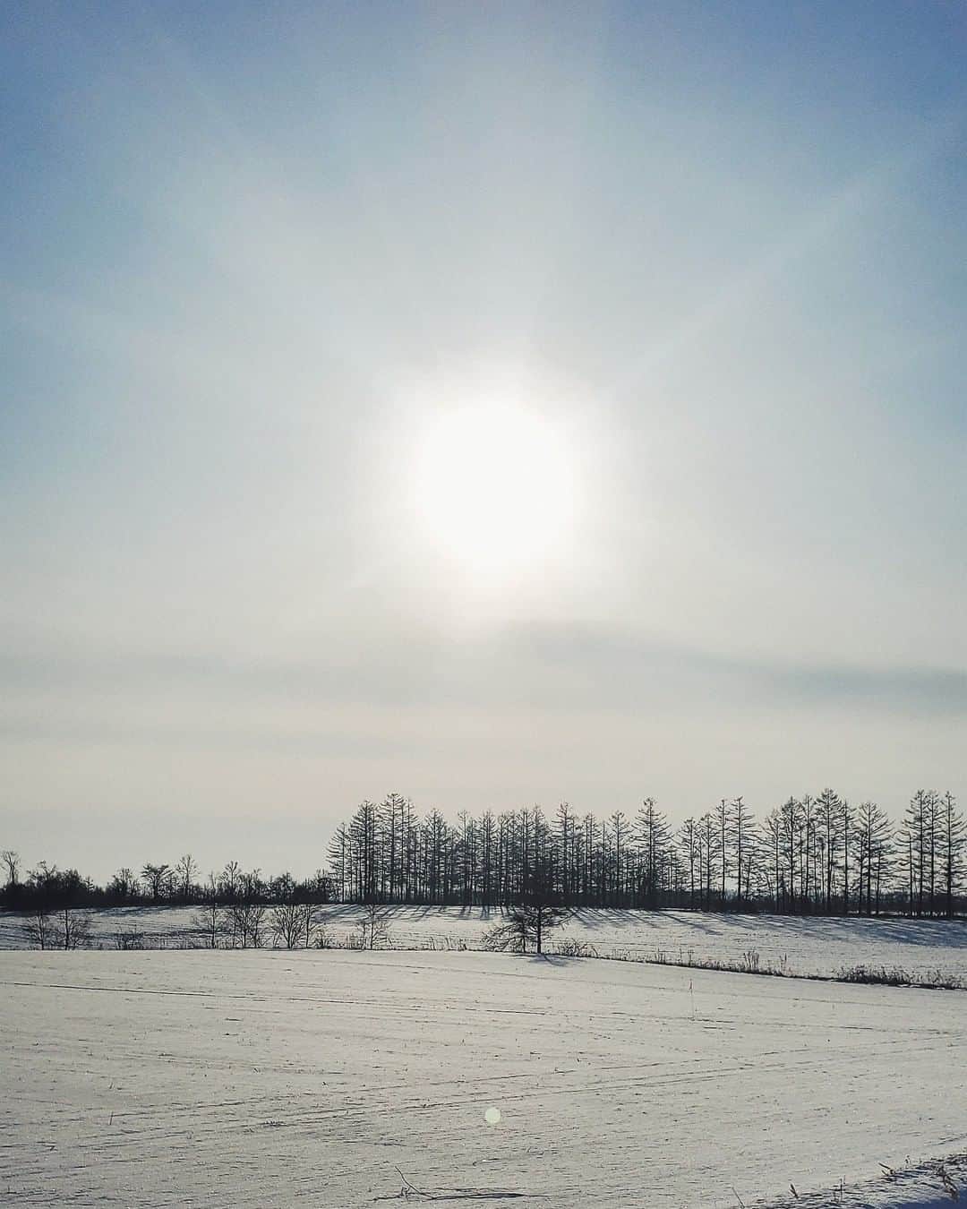 Galaxy Mobile Japanさんのインスタグラム写真 - (Galaxy Mobile JapanInstagram)「この写真にタイトルをつけるなら？皆さんのアイディアをコメントで教えてください♪ 北海道の大地と、それを照らす眩しい太陽を撮影しました📸 雪も陽の光も、どちらもきらめいて本当に綺麗です❄️✨ 📸#GalaxyNote10+ #withGalaxy Photo by @iwakurashiori ・ ・ ・ #北海道 #北海道旅行 #北海道観光 #国内旅行 #旅行 #卒業旅行 #修学旅行 #雪 #雪景色 #冬 #冬景色 #冬の空 #誰かに見せたい景色 #空を見上げるのが好き #空を見上げて #日本の風景 #日本の絶景 #日本の美 #hokkaido #Galaxyカメラ部」1月22日 17時00分 - samsungjpn