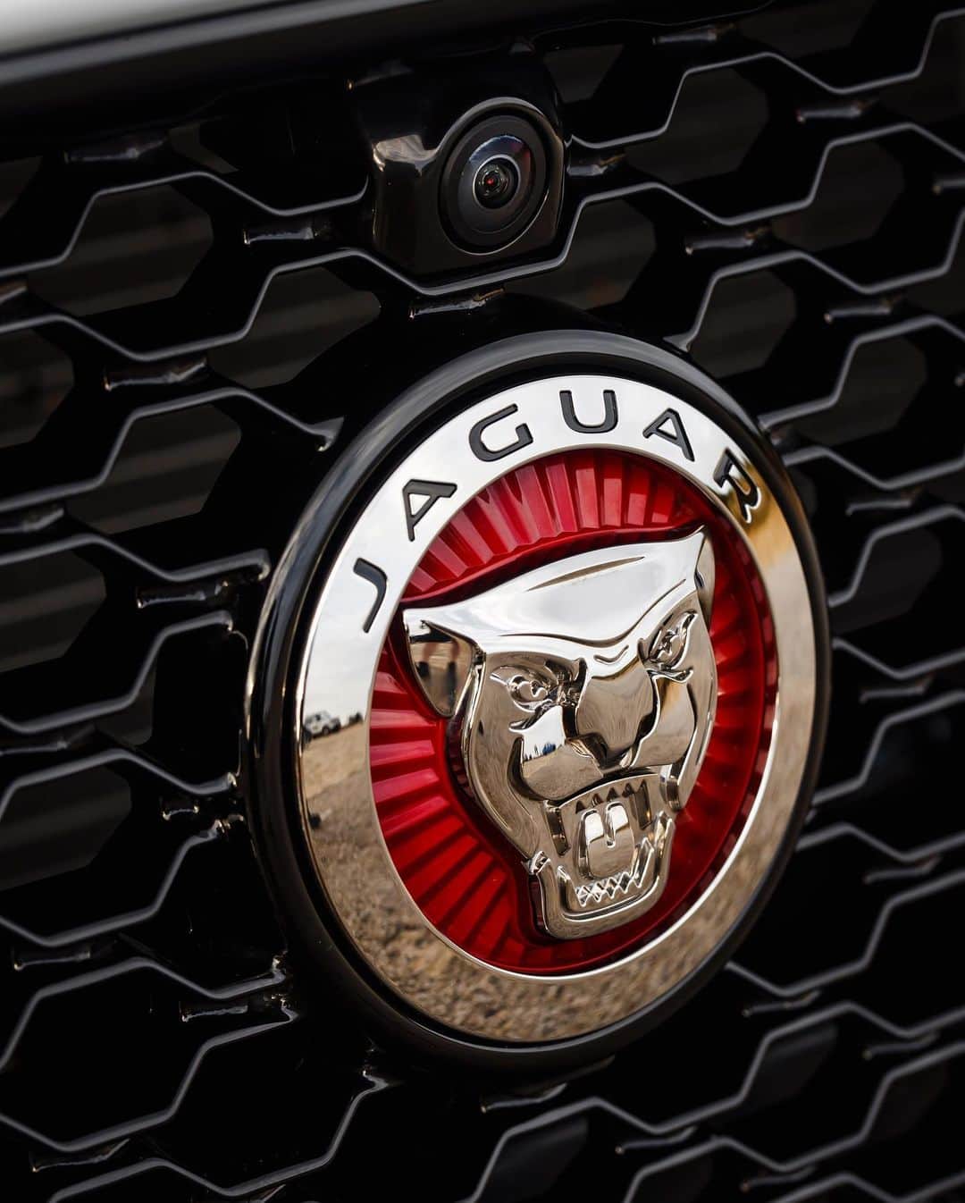 Jaguarさんのインスタグラム写真 - (JaguarInstagram)「Travel towards new horizons.  #Jaguar #XFSportbrake #Premium #Luxury #Dynamic #Performance #Estate #AWD #CarsofInstagram #InstaCar」1月22日 23時17分 - jaguar