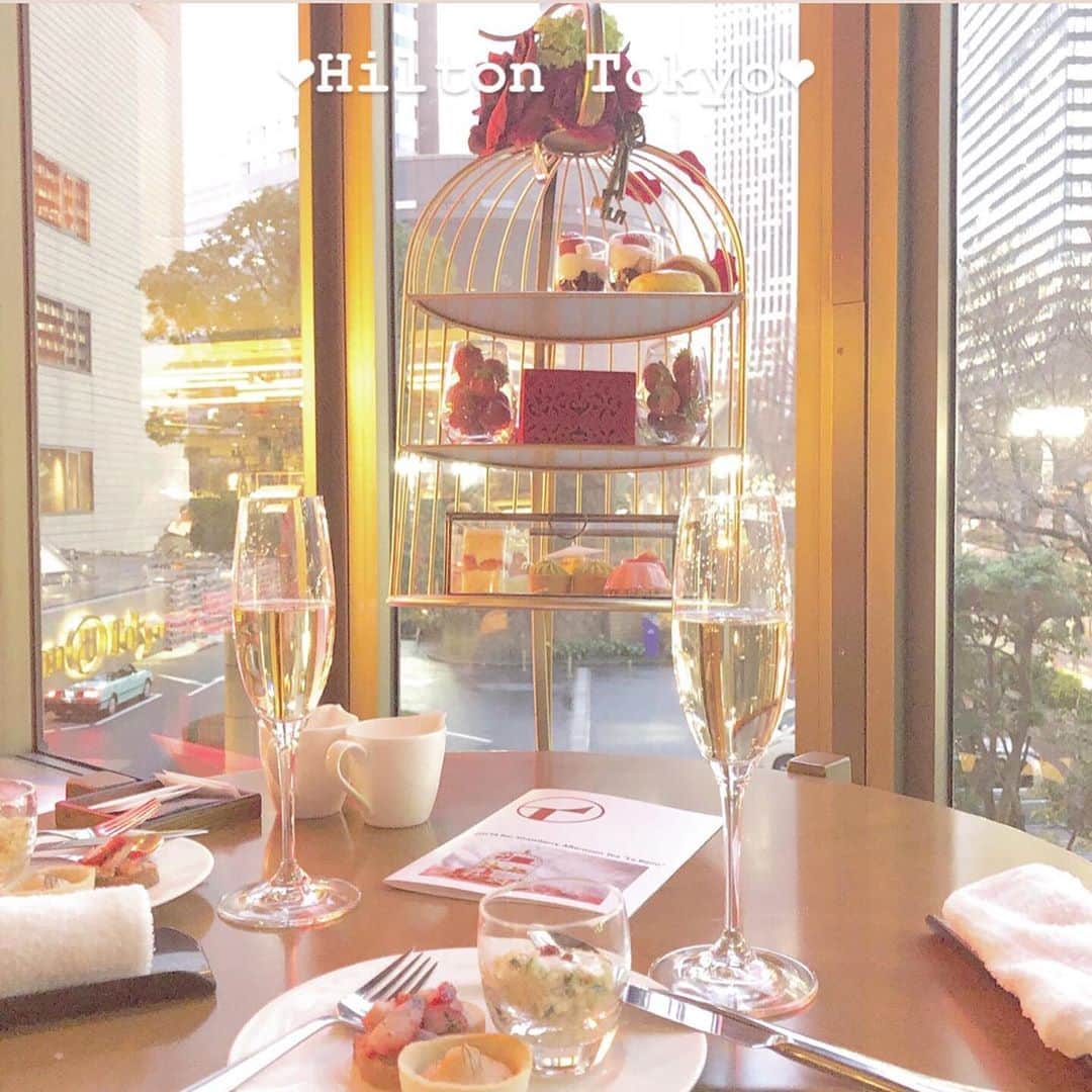白石かえでのインスタグラム：「﻿ ﻿ ▶︎Shinjuku Hilton Tokyo﻿ #バーラウンジZATTA﻿ ﻿ ﻿ ☑︎あまおう付きストロベリーアフタヌーンティー﻿ 「ル・ビジュー」　42.0﻿ 딸기　애프터눈 티🍓﻿ (土日祝 45.0)﻿ ﻿ ﻿ ﻿ 初めてのアフタヌーンティー❤️﻿ しかも、まいお姉ちゃんと！﻿ アフタヌーンティーらしいやつを﻿ 食べに行きたいってリクエストしたら、﻿ 選んでくれたの☺️﻿ ﻿ ﻿ 鳥籠みたいなスタンドで﻿ めちゃくちゃ可愛いし、﻿ 乾杯のスパークリングと一緒に写すと映える！﻿ ﻿ ﻿ ケーキはもちろん、チョコや﻿ お食事系のパスタ(クスクス)もあって、﻿ お腹いっぱいになるよ♬﻿ 飲み物は飲み放題。﻿ (スパークリングワインは、はじめのみ)﻿ ﻿ ﻿ あまおう付きのアフタヌーンティーは﻿ 期間限定なのでお早めに🍓❤️﻿ ﻿ ﻿ ﻿ #アフタヌーンティー﻿ #東京アフタヌーンティー﻿ #ヒルトン東京﻿ #hiltontokyo﻿ #あまおう﻿ #amaou﻿ #tokyocafe﻿ ﻿ ﻿ ﻿ ﻿」