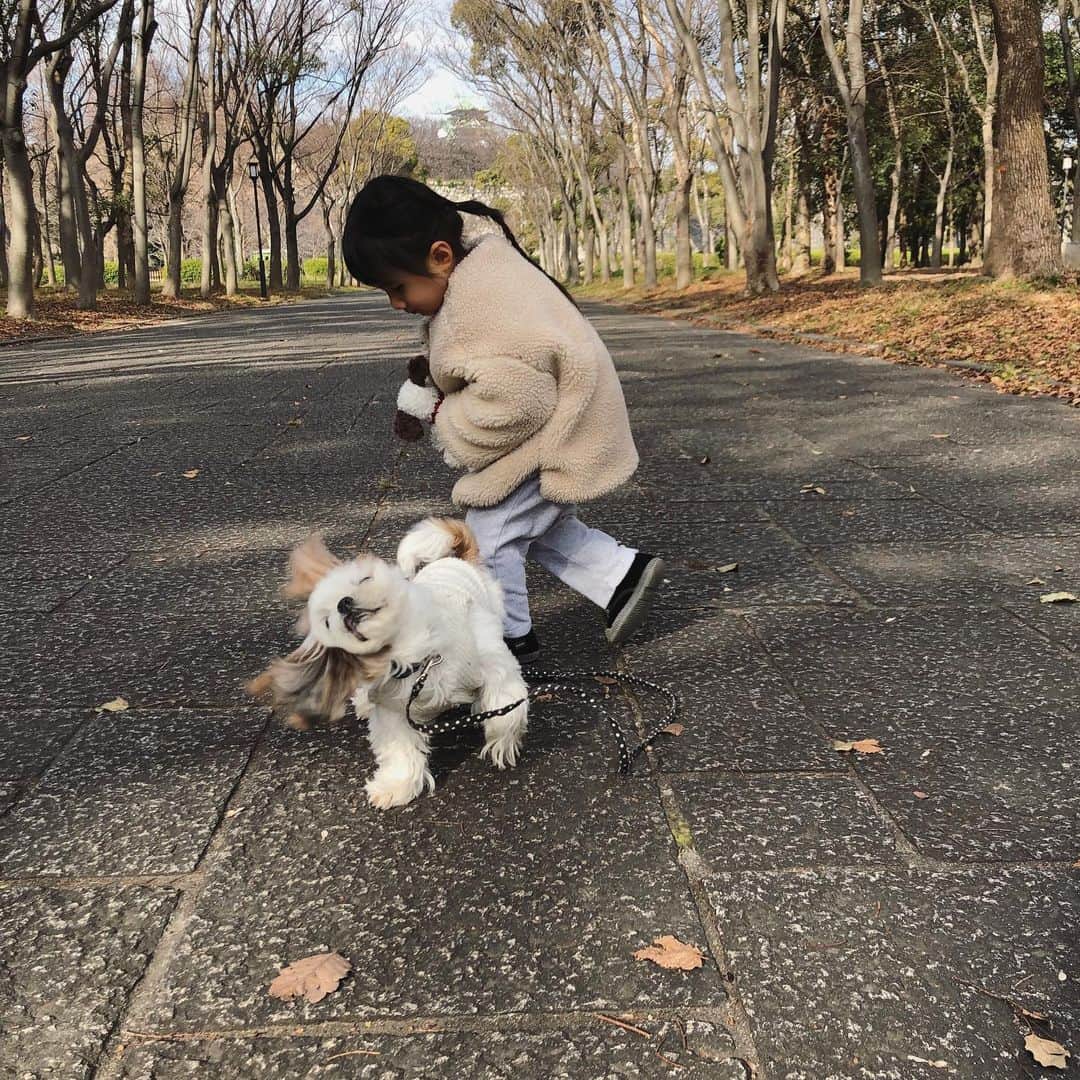 いりこのインスタグラム：「いりこがブルブルっと体を振ってる時に連写するの大好き😆」