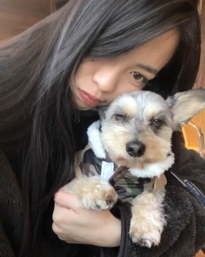 関根アヤノのインスタグラム：「😪💤」