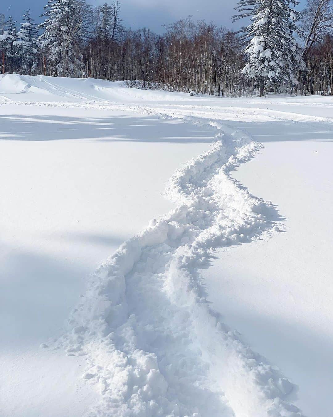 岩垂かれんのグルメインスタ