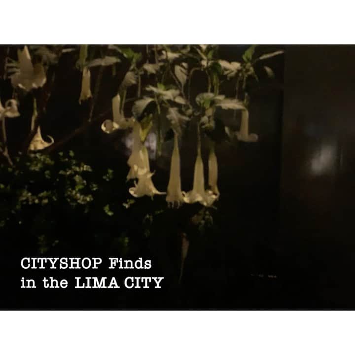 のインスタグラム：「_ 【CITYSHOP Finds / in the LIMA CITY】 1/24(fri.)～ start . 世界にはまだ見ぬ、美しいプロダクトの数々が無数に存在します。CITYSHOPが世界の'CITY'を旅し、恋した逸品を見つけた際のみ、不定期でお届けする【CITYSHOP Finds】プロジェクト。 . 第5弾は、ペルー・リマ。初めての南半球へ。 熱帯植物が生い茂るアマゾン地帯に今なお暮らす先住民。彼らが生み出す見事な工芸品、泥染めや刺繍、アクセサリーは、未来へ紡ぐ尊き価値。 敬意を持ってCITYSHOPらしい編集を。  先祖代々受け継がれる複雑に絡み合う美しい幾何学模様は、トライブの精神世界を映し出しているという。 アルパカのやさしいぬくもりも一緒に。  大自然から、あなたへの贈り物。  CITYSHOP渋谷店、新宿店にて発売です。 是非、お楽しみください。  _____________________ #CITYSHOP #cityshopfinds #peru #Lima #jewelries #SHIBUYA #SHINJUKU #TOKYO」