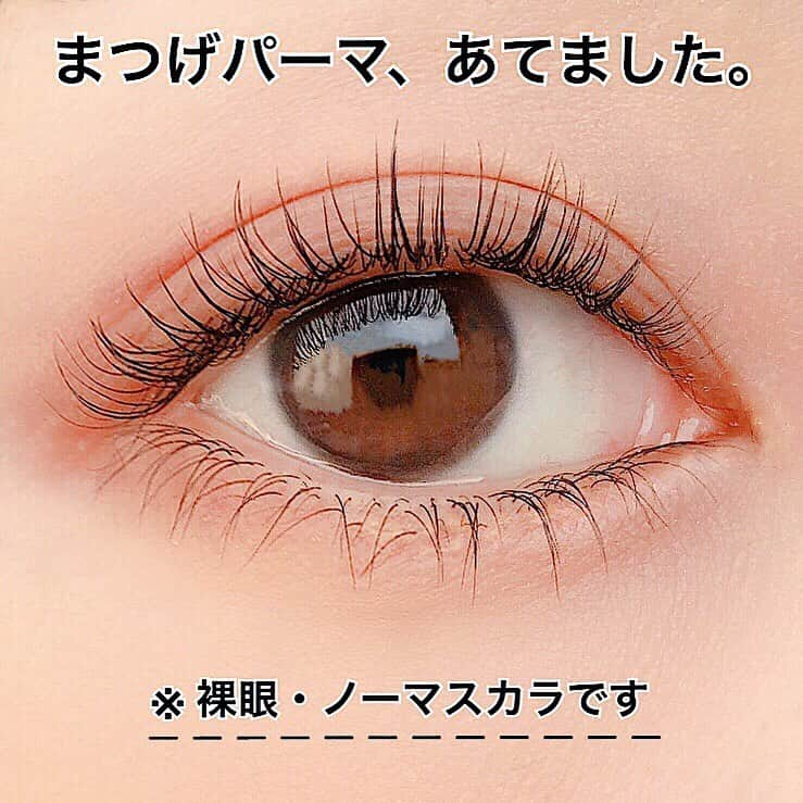 天野ゆうかさんのインスタグラム写真 - (天野ゆうかInstagram)「【まつげパーマ】 . . １ヶ月ぶりにあててきたよ👁◎ 今回も #チェロバイリリース で 上下お任せカール🦨 . . 同時にトリートメントもしてもらうので カールのもちが良くて助かる◎ #私は約3週間くらいもちます もちろん、毛質によって個人差はありますが⚠️ . . 特にこだわり無いから毎回変わるけど、 今使ってる #まつ毛美容液 は スカルプDのプレミアムだよ🤸🏻‍♂️✔︎ . . . #まつ毛パーマ #まつ毛カール #まつげパーマ #まつパ #自まつ毛 #まつげ #まつ毛 #chelobyrelease #南船場 #大阪 #裸眼 #ノーメイク #目元 #アイメイク #eyelash #eyes #eyelashes #eyecare #eyelashsalon #eyelashperm #eyelashlift #eyemakeup #japan #속눈썹 #속눈썹파마 #속눈썹연장 #아이메이크업」1月22日 19時01分 - yucca_official