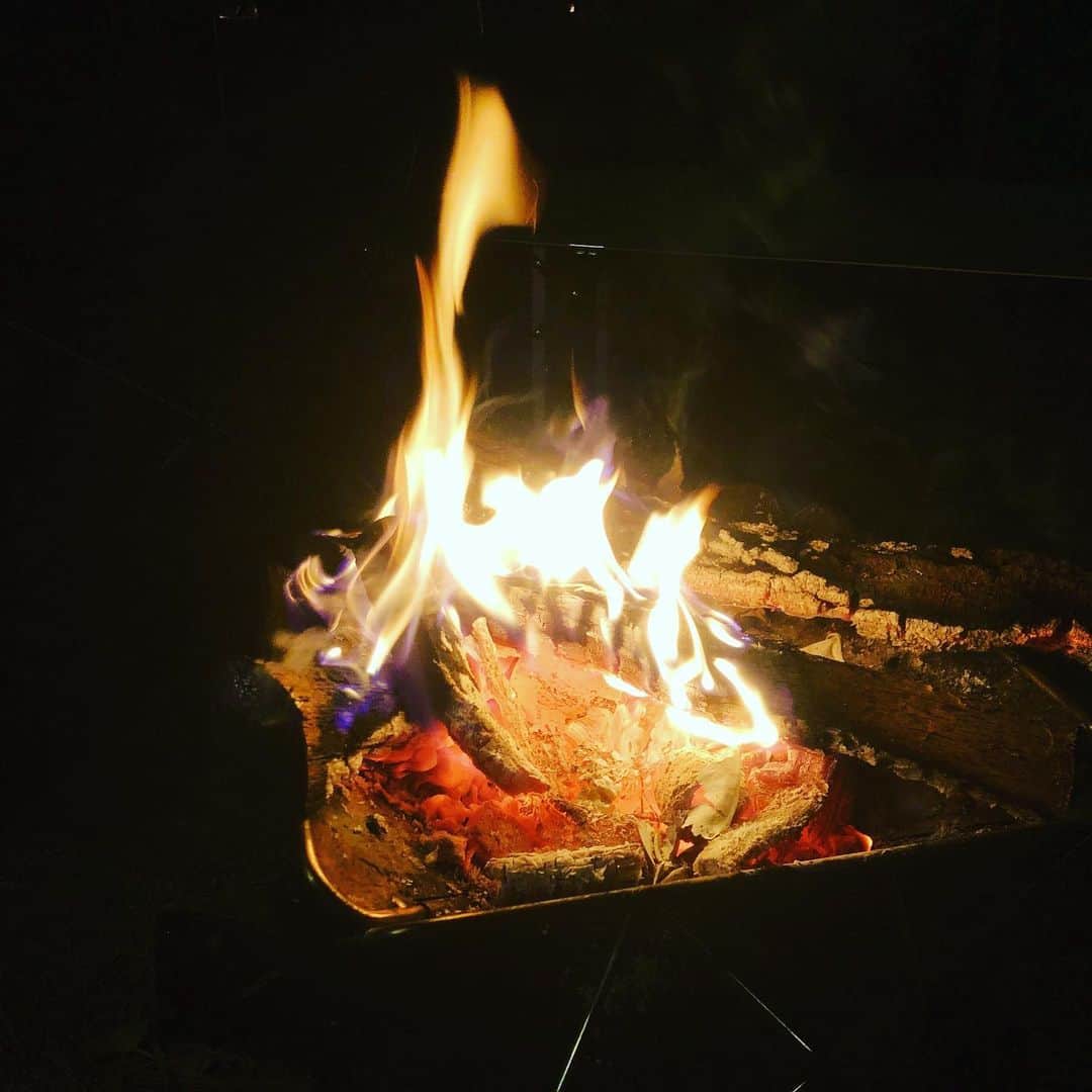 がっちゃんさんのインスタグラム写真 - (がっちゃんInstagram)「焚き火🔥 マシュマロを持っていくの忘れちゃったけど、パンを炙ったら美味しかったみたいです💕  #キャンプ #焚き火 #清水公園 #camp #campfire #がっちゃん #がっちゃんねる」1月22日 19時18分 - gacchannel