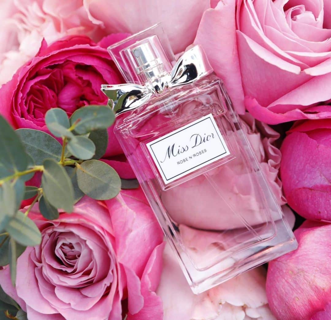 高橋愛さんのインスタグラム写真 - (高橋愛Instagram)「🌹 ㅤㅤㅤㅤㅤㅤㅤㅤㅤㅤㅤㅤㅤ ㅤㅤㅤㅤㅤㅤㅤㅤㅤㅤㅤㅤㅤ 薔薇の花に囲まれて とっても幸せな気持ちに なりました🌹 ㅤㅤㅤㅤㅤㅤㅤㅤㅤㅤㅤㅤㅤ バラの香りの ミスディオールの新作は そんな気持ちにさせてくれる とっても素敵な香りでした🥰ㅤㅤㅤㅤㅤㅤㅤㅤㅤㅤㅤㅤㅤ ㅤㅤㅤㅤㅤㅤㅤㅤㅤㅤㅤㅤㅤ  #missdior  #ミスディオール #ローズアンドローズ #バラの香り #衣装も #dior #幸せ🥰」1月22日 19時19分 - i_am_takahashi