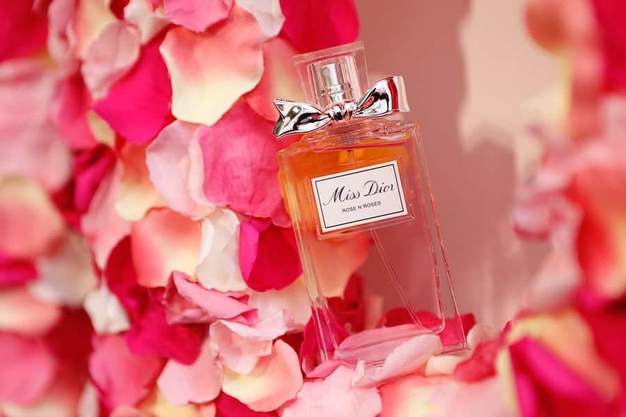 松川菜々花さんのインスタグラム写真 - (松川菜々花Instagram)「・ ・ Diorさんのパーティーへ行かせていただきました✨ 大人な薔薇の香りが素敵だった🌹  @diorparfums #ミスディオール　#ローズアンドローズ」1月22日 19時26分 - matsukawa__nanaka