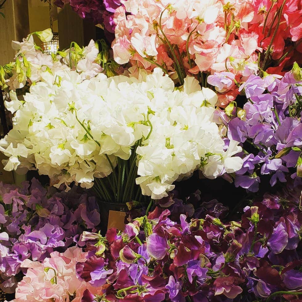 梅田陽子さんのインスタグラム写真 - (梅田陽子Instagram)「以前、一緒の現場でいつも顔を会わせていた日比谷花壇のフラワーアーティストの @yuyuyutty_25 ちゃん。いつもお花のことを教えてくれた素敵な女性。でも移動になってしまったのよね。  あれから数年。たまたま、私の所属事務所近くの店舗でフラフラ癒されにお花を見ていたら、久々に再会。 また彼女にブーケを作っていただいて、私超ご機嫌です。  #お花#日比谷花壇#お花大好き#ありがとう#嬉しい#happy#flower#ブーケ#恵比寿#アトレ恵比寿#美しいもの#sign」1月22日 19時39分 - yokoumeda