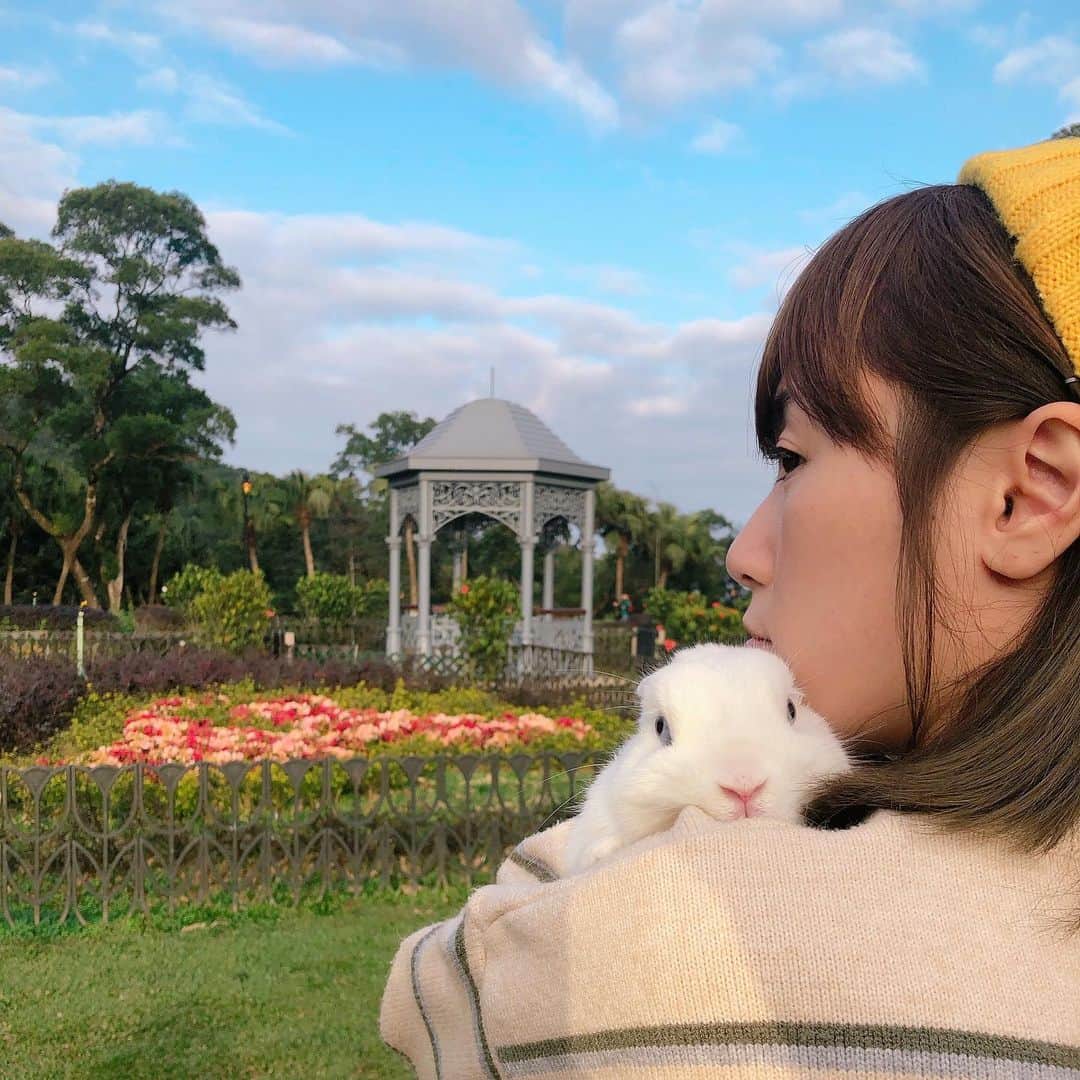 Miss Hunnyのインスタグラム：「嗡嗡今天5歲了(˶‾᷄ ⁻̫ ‾᷅˵) 說了多年野餐終於兌現， 第一次跟嗡嗡玩要跑_(:з」∠)_ 無論你幾歲， 在我心目中你永遠是兔寶寶🐰  生日快樂🎈 #全世界我最愛你了」