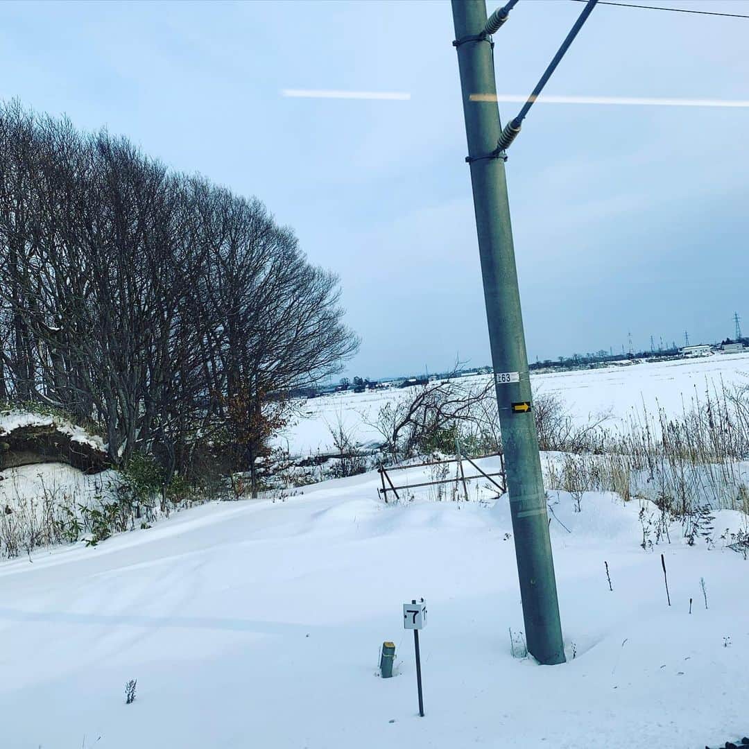 染谷俊のインスタグラム：「明日は挨拶まわり。 で、来たー札幌ちゃー。  電車に乗れば、 自分的には、初、フル雪景色。 いろいろ思い出す。 スキトキメキメキトキス。 どこから読んでも…のやつ、や！」