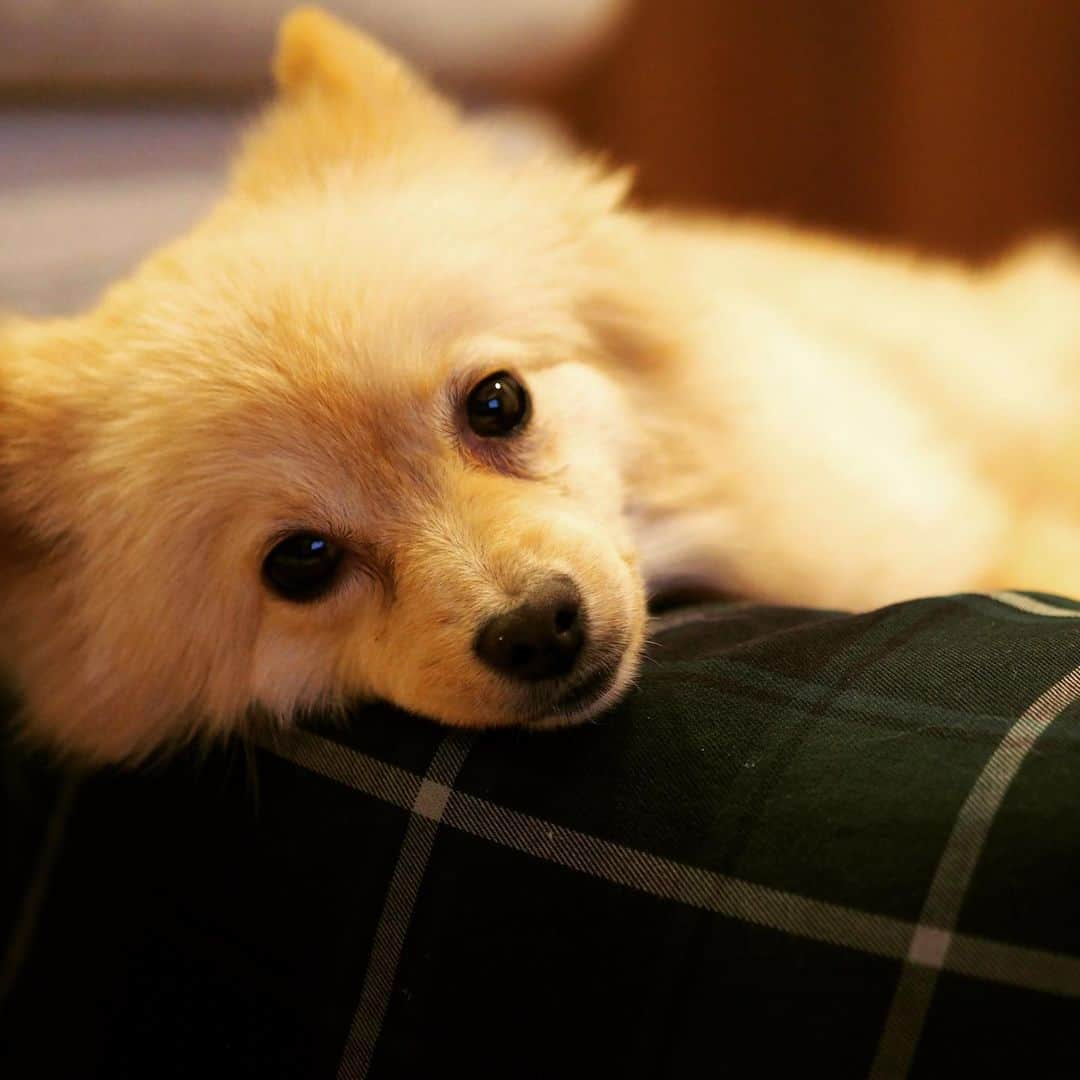 水野良樹さんのインスタグラム写真 - (水野良樹Instagram)「明日から雨なんだってさ。」1月22日 20時41分 - mizunoyoshiki_teke