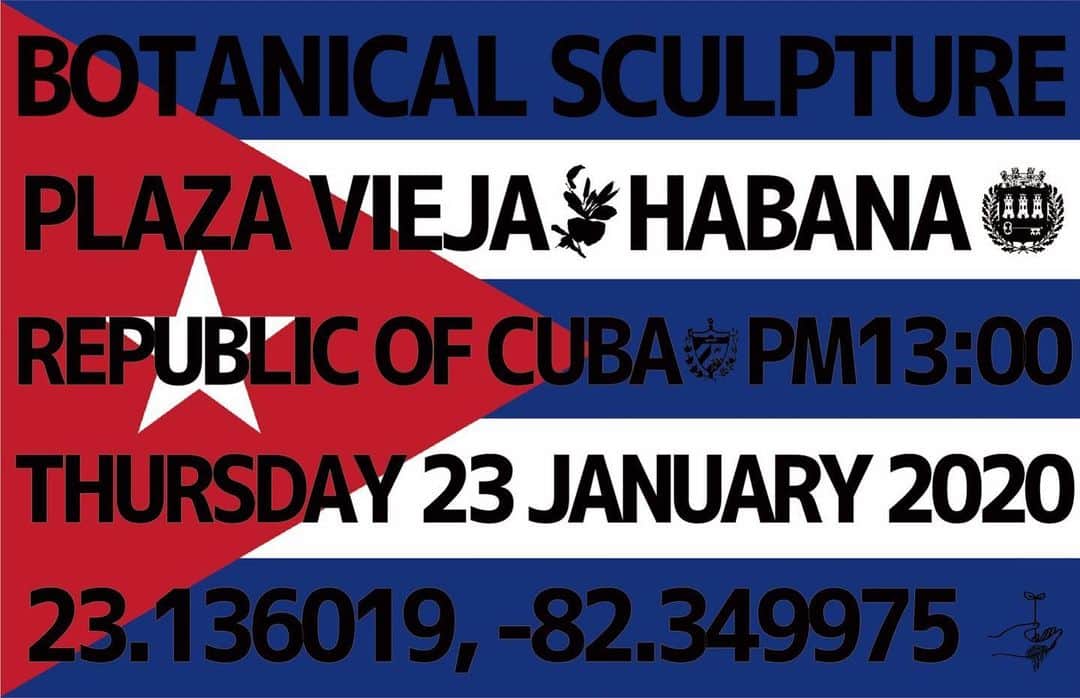 椎木俊介のインスタグラム：「Botanical Sculpture in Cuba  Date: January 23 Thursday, 2020 Location: Plaza Vieja 23.136019,-82.349975 *Please insert this numbers to your Google map.  @azumamakoto @amkk_project @shiinokishunsuke  #azumamakoto #makotoazuma #shiinokishunsuke #amkk #amkkproject #flowers #flowerart #botanicalsculpture #東信 #東信花樹研究所 #cuba #HABANA #PlazaVieja」