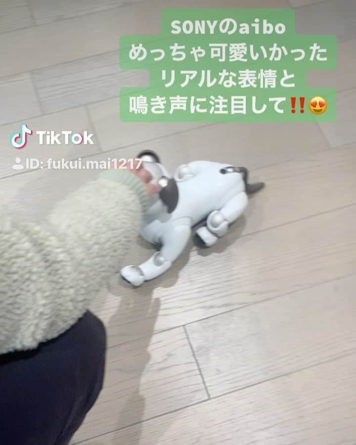 ふくい舞のインスタグラム