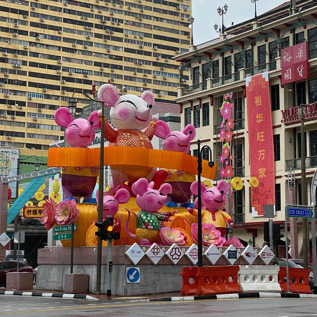 大西蘭のインスタグラム：「・ Chinese New Year で盛り上がるチャイナタウン✨ ・ 日本でいうアメ横みたいな感じかな。通りには露天が立ち並び、食材、お菓子、飾りを買い出しにくるお客さんがいっぱい。 ・ ・ #シンガポール生活 #チャイニーズニューイヤー」