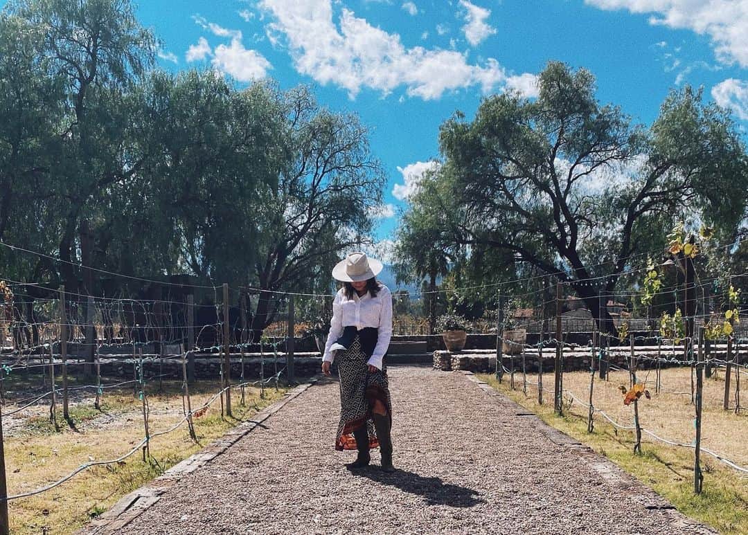 Ana Brenda Contrerasのインスタグラム：「Quiero una tarde de 🍷 con música, amigos verdaderos y platicar de la vida 🙏🏼 ¿Cual es su plan perfecto?」