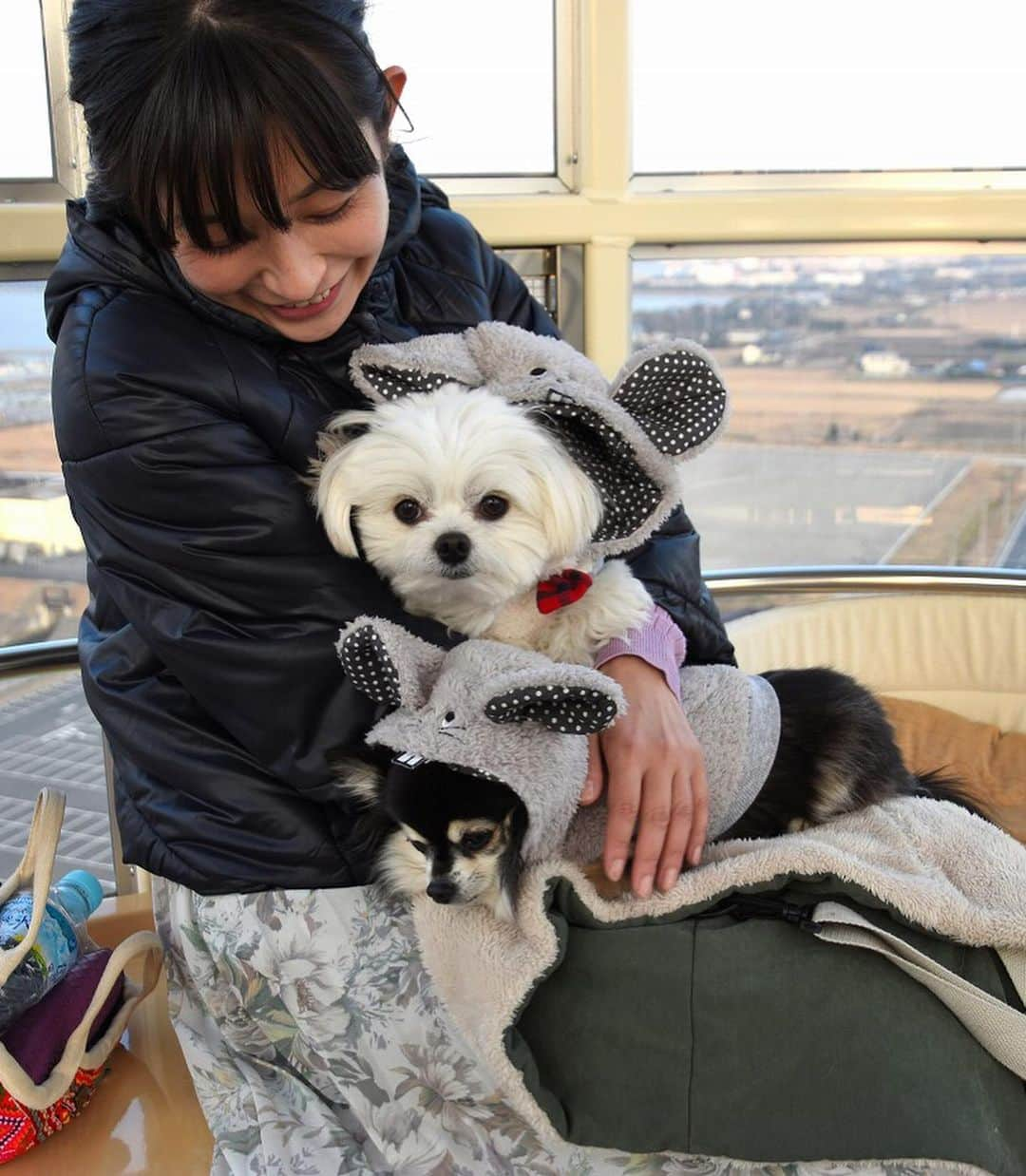 小野真弓さんのインスタグラム写真 - (小野真弓Instagram)「おはようございます^_^ 仕事帰りのまちわわせ🐶🐶🙋‍♀️ 観覧車に乗りました🎡✨ 関東地方は今日からしばらく☔️⛄️マーク。 お気をつけてお出かけくださいね^_^ #チワワ#ハナちゃん #チワマル#ハルくん #いぬすたぐらむ #いぬばか部 #chihuahua #maltese #mixdog #doglover #dogstagram #千葉県#木更津市#キサラピア#観覧車#父カメラ#千葉わんこ」1月23日 6時58分 - hanaharuaroi