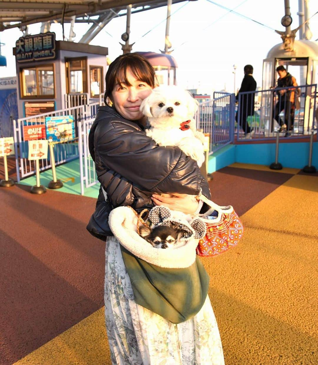 小野真弓さんのインスタグラム写真 - (小野真弓Instagram)「おはようございます^_^ 仕事帰りのまちわわせ🐶🐶🙋‍♀️ 観覧車に乗りました🎡✨ 関東地方は今日からしばらく☔️⛄️マーク。 お気をつけてお出かけくださいね^_^ #チワワ#ハナちゃん #チワマル#ハルくん #いぬすたぐらむ #いぬばか部 #chihuahua #maltese #mixdog #doglover #dogstagram #千葉県#木更津市#キサラピア#観覧車#父カメラ#千葉わんこ」1月23日 6時58分 - hanaharuaroi