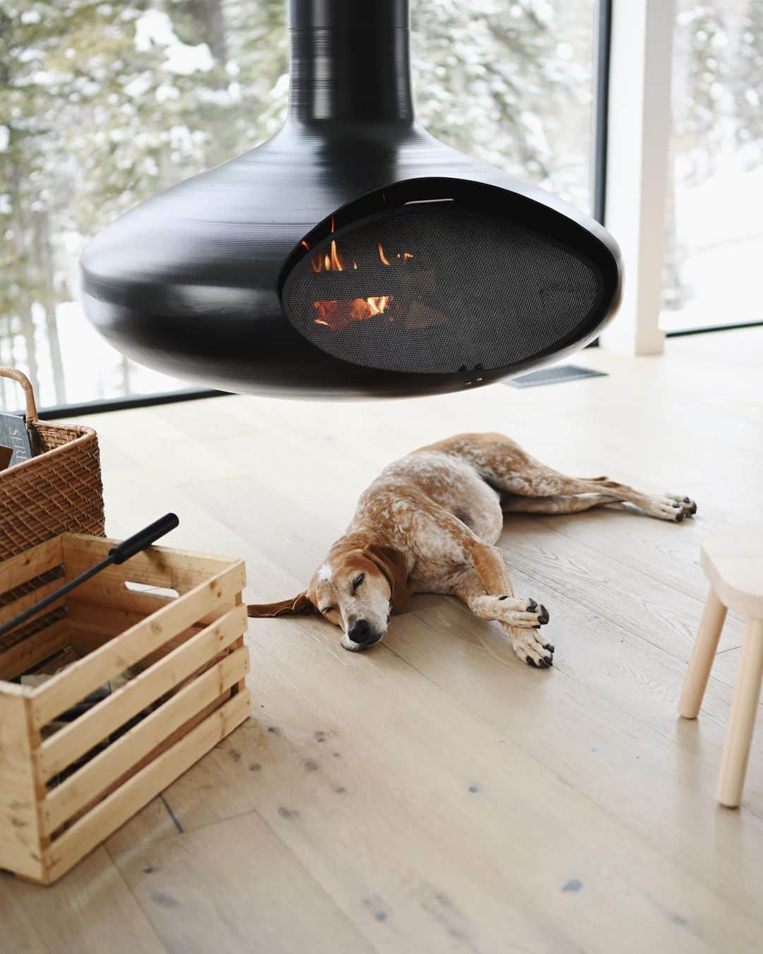 マディのインスタグラム：「Coziest spot @ the nooq 🐻」