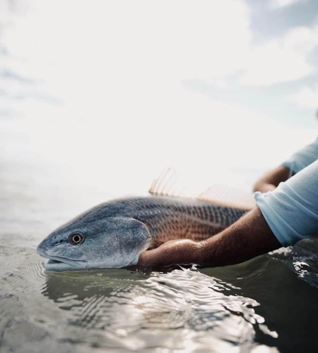 Costa Sunglassesのインスタグラム：「Today's forecast. 📷: @ghostwatersc #SeeWhatsOutThere #BornOnTheWater」