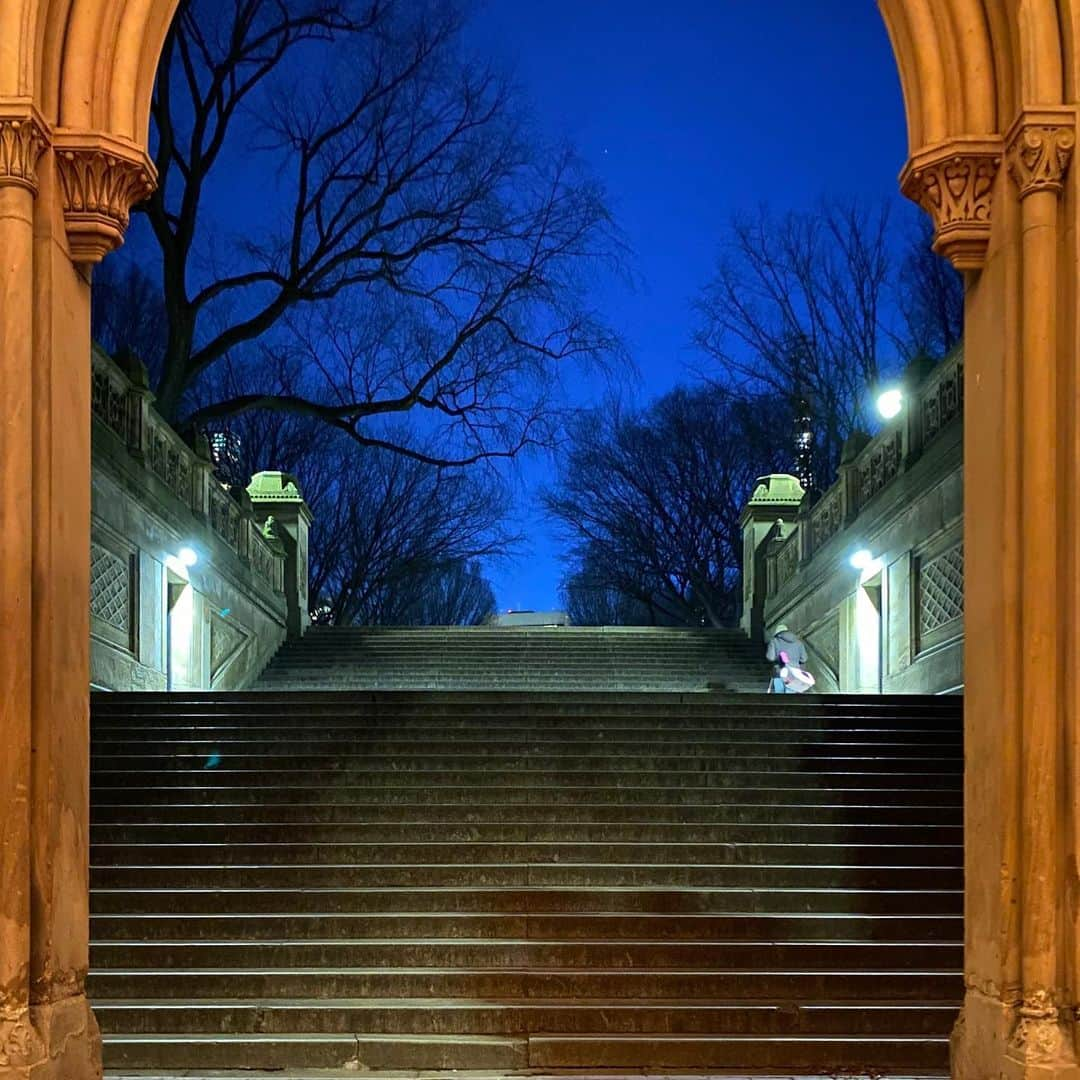 林信行さんのインスタグラム写真 - (林信行Instagram)「‪#CentralPark after dark ‪#ShotOnIPhone11Pro‬ ‪#NightMode ‬」1月23日 8時03分 - nobihaya