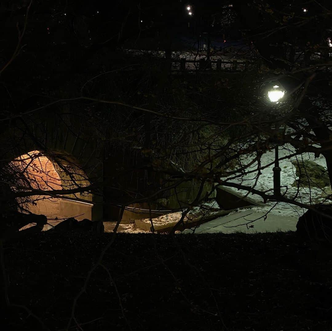 林信行さんのインスタグラム写真 - (林信行Instagram)「‪#CentralPark after dark ‪#ShotOnIPhone11Pro‬ ‪#NightMode ‬」1月23日 8時03分 - nobihaya