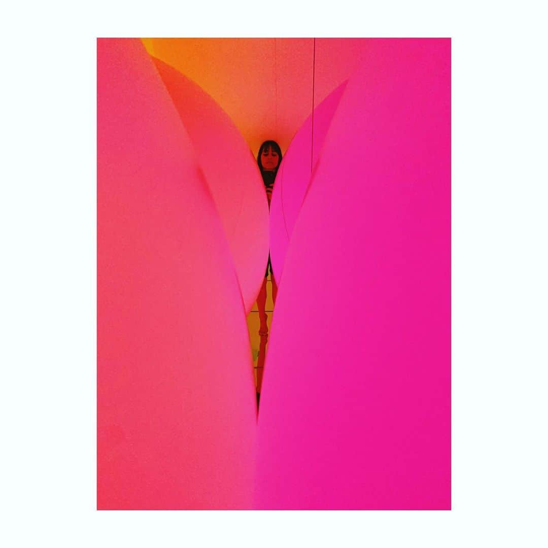 中井ノエミのインスタグラム：「Week 7. 🎬🎥 . . . #slowlydisappeaping #filmmaking #filming #shooting #bts #scouting #behindthescenes #photography #colors #balloons #surrealist #pink #exhibition #lighting #setdec #tvseries #filmmaker」
