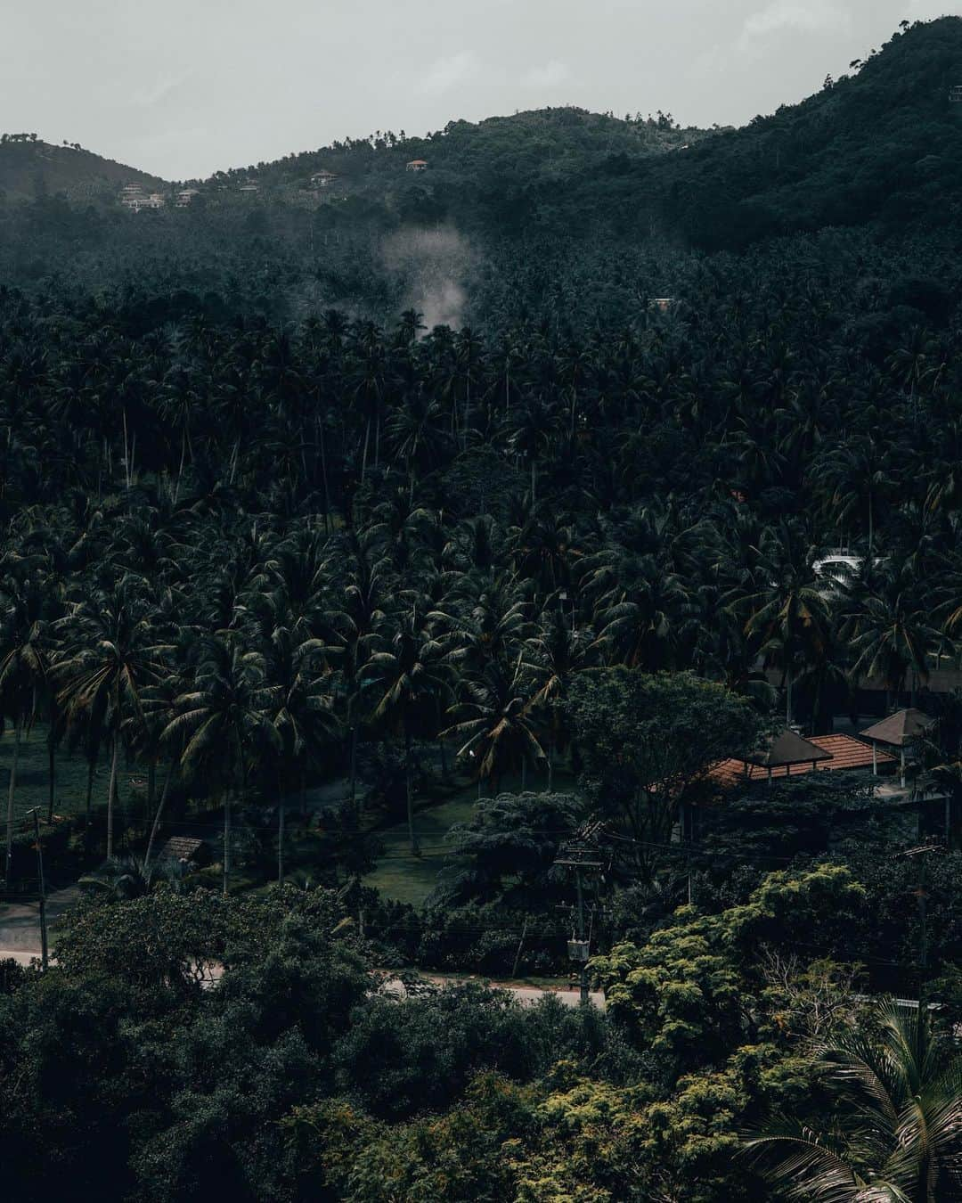 Enzo Cariniさんのインスタグラム写真 - (Enzo CariniInstagram)「Pool and View @intercontinentalsamui ⚡️」1月22日 23時34分 - enzo_carini