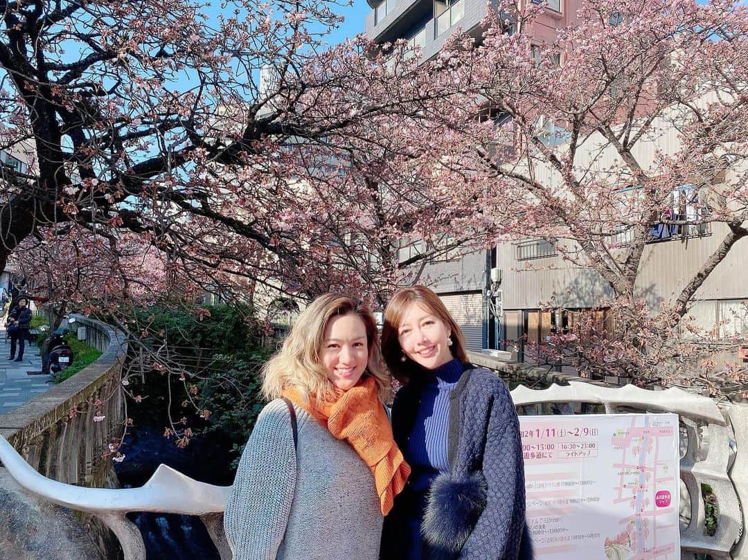 藤島妃呂子のインスタグラム：「LAからまゆみさんがきた〜！ 大好き過ぎるおねーさん。 私が日本に帰ってきてから会える時間は少なくなったけど、一緒に過ごした時間は宝物。また一緒に映画観に行きたーい！ 熱海の桜は早咲きらしい。 梅より桜が先にたくさん咲き始めたよ。梅も見に行ったり、美味しいお刺身食べたり、冷たい空気が新鮮。 またすぐ会いたい〜」