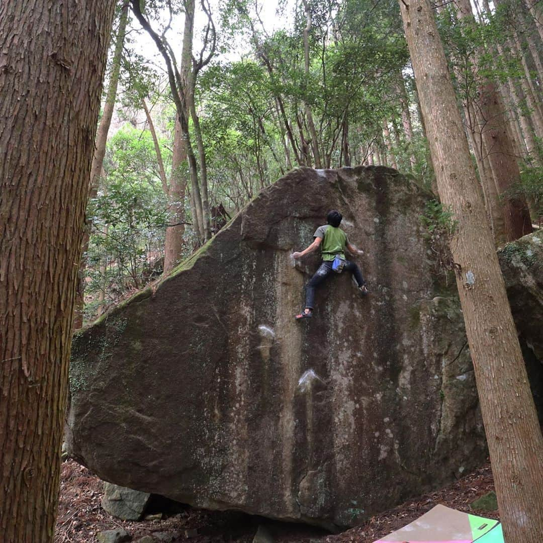 濱田健介のインスタグラム：「Today, I send Ureinashi at Obira. It’s a ungraded highball FA by @joywall.tajippei . It is perfect line. I needed brave. 今日は九州最終日。 尾平で 憂い無し にリベンジできた。 結局指皮はすぐにまた裂けたので、カチを使わずリップに一気にランジで解決。極小カチを握るより勝負は早いかも？しかし、なかなかに勇気が必要だった。 それにしても、これ初登はかっこいいなー。 @rockmasterhq  @unparallelup  @organicclimbing  @nogradjustfeeling  @camp1889」