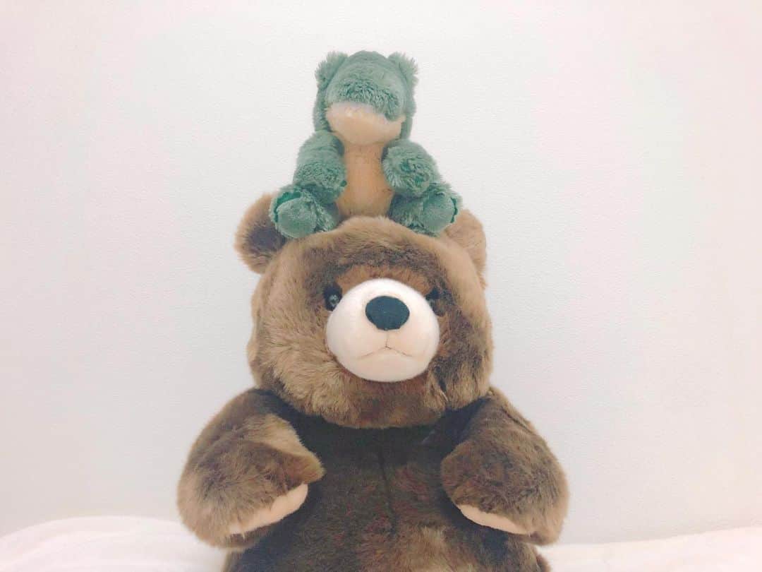 百瀬怜のインスタグラム：「新入りのヒグマ可愛すぎるな  #🐻」
