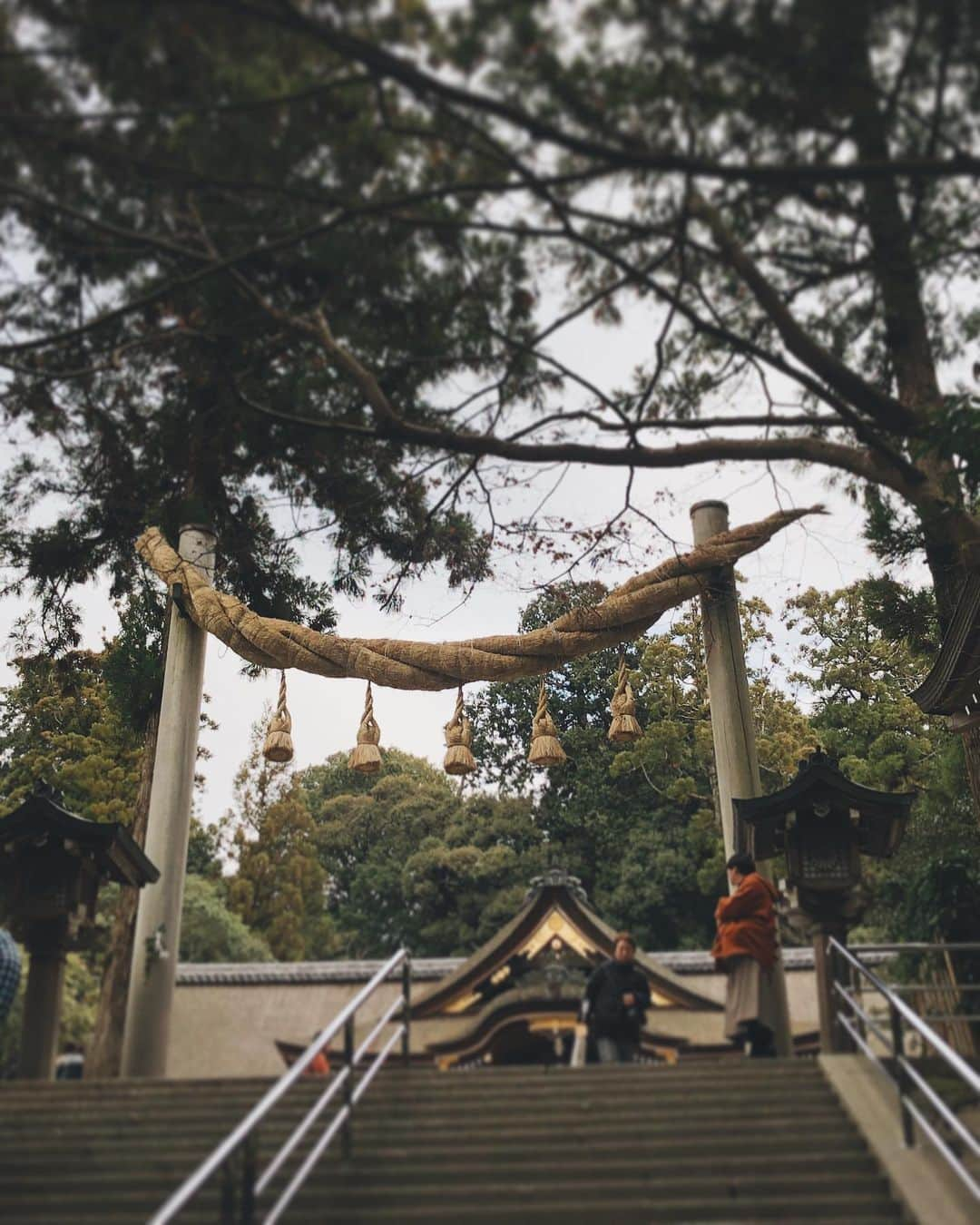 軍地彩弓さんのインスタグラム写真 - (軍地彩弓Instagram)「思いたって奈良、大神神社⛩へ。 元伊勢であり、日本最古の神社。 御神体が三輪山であり、この地自体の清らかさに癒されました。 目的は大切な人に薬井戸の御神水を届けるため。 いい日になりました。 三島由紀夫「豊穣の海」の舞台。美しい光にも満たされました。 三輪素麺、美味しかった^ ^」1月23日 1時21分 - sayumi7