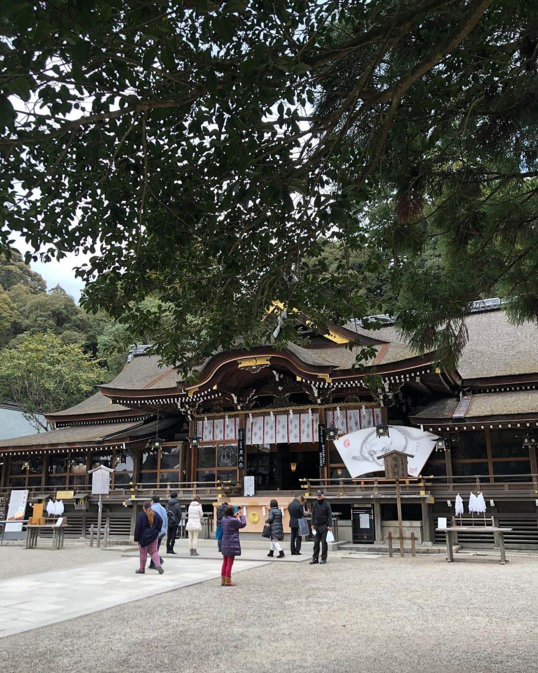 軍地彩弓さんのインスタグラム写真 - (軍地彩弓Instagram)「思いたって奈良、大神神社⛩へ。 元伊勢であり、日本最古の神社。 御神体が三輪山であり、この地自体の清らかさに癒されました。 目的は大切な人に薬井戸の御神水を届けるため。 いい日になりました。 三島由紀夫「豊穣の海」の舞台。美しい光にも満たされました。 三輪素麺、美味しかった^ ^」1月23日 1時21分 - sayumi7